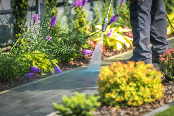 Reliable Mountain Lodge Park, NY  Pressure Washing Services Solutions